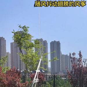 Diều Cần Câu Trẻ Em