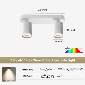 Dengfu | Adjustable Angle Anti-glare Two-Three Head Spot Light GU10