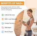 🇺🇸พร้อมส่ง🇺🇸 Liposomal NAD+ Supplement 500 mg, High Absorption 60 softgels. 