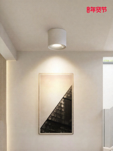 FANCY LAMP CLUB | Induction Light Modern Ceiling Light for Entrance Door