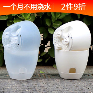 Self-Absorbent Bean Bag Flowerpot Transparent Plastic Water Storage Basin Living Room Balcony Automatic Water Feeding Scindapsus Aureus Bonsai Hydroponic Flowerpot