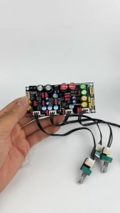 Mạch karaoke tạo vang Wuzhi ZK AMP Mạch karaoke 2 mic. Reverb micro karaoke DSP