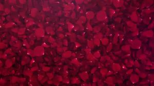 Trà Zoga - Thảo mộc hoa hồng VIỆT ANH 30g