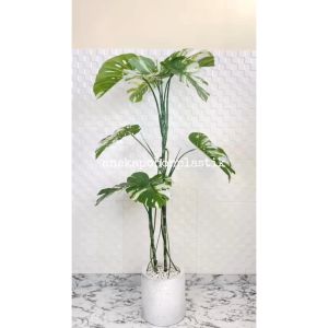 Pohon Hias Tanaman Artificial Monstera Variegata T170 Latex Pot Semen Putih Dekorasi Cafe Aesthetic