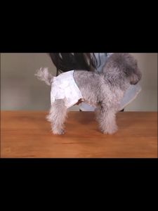 Pet Diaper Dog Diapers Male Puppy Diaper Premium Quality 12pcs