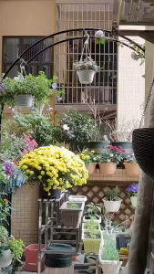 Emika Choice Wedding Arch Stand Party Show Backdrop Arch Frame Garden Metal Arborwith Round Top 79 High x 46Wide