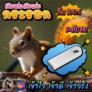 ((( ใ ห ม่ ))) เสียงต่อ เสียงล่อกระรอกป่า ((( ยาวสะใจ 10 ชั่วโมง ))) ใส่แฟลชไดร์ฟ เสียงชัดHD/ดัง/ใส ไม่มีโฆษณาแทรก พร้อมส่ง! มีเก็บเงินปลายทาง!!!