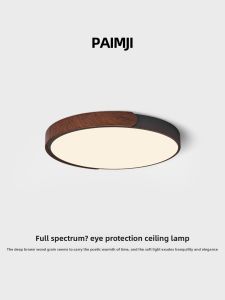 PAIMIJI | Modern Retro Ceiling Light