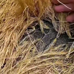 【Best Price】2x1m to 2x25m Simulated Thatch Roofing Roll - UV Resistant Waterproof Material for Balcony Shed & Cafe 5-year warranty