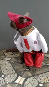 BAJU KUCING KARAKTER SERAGAM SEKOLAH SD LUCU GEMES Seragam Sekolah Unisex Velvet Pakaian Anak Sd Karakter - Lazada