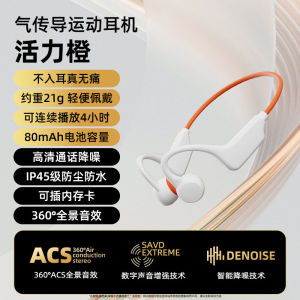 Wireless Bluetooth Sport Earphones Overhead Hanging Fitness Running Cycling Outdoor Waterproof Professional Non-In-Ear Earbuds