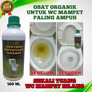 SOLUSI WC MAMPET