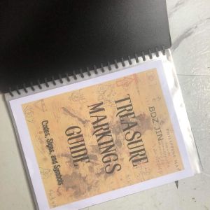 BDZ Jin Treasure Marking Guides codes signs &symbols