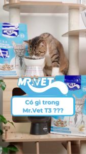 Thức ăn cho mèo MRVET dạng hạt T3 mới gói 1KG cải thiện đường tiết niệu dùng cho mèo mọi lứa tuổi - T3 PETS SHOP