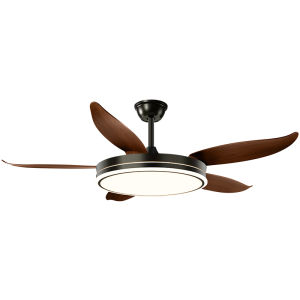 DGY | Slim Ceiling Silent High-end Fan Light