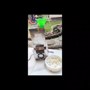 Mesin Makanan Bawang Kupas Bawang Putih Pengupas Kulit Bawang MerahTp-200 Mudah Digunakan220volt