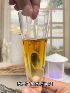 1 TABLET CLEAN WATER FOR 30 DAYS! anti chlorine aquarium Remove Bad Smell algae remover aquarium No Water Change purification tablet anti clorin aquarium Buy 1 Free 1 chlorine tablet Remove Yellow Green & Cloudy Water 净水片
