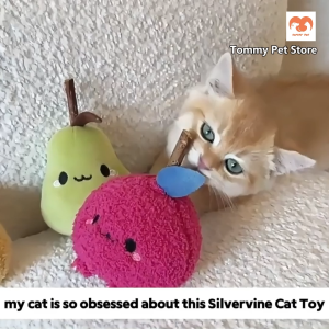 Vege Pattern Cute Catnip Chew Toy for Cats Silvervine Matatabi Material Self-Entertaining Cat Teaser Stick