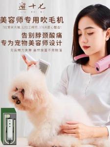 Walking 17 Pet Hair Dryer Professional Beauty Deep Noise Reduction Mute Strong Wind Halterneck Dog Cat Roller Raising Machine