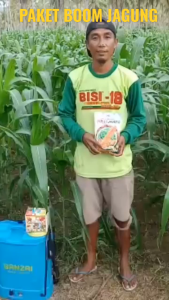 Paket Boom Jagung / Paket Pupuk Boom Jagung / Pupuk Jagung Hasil melimpah