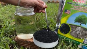 1Kg HUMIC 360 Kích RễGiải Độc Hữu Cơ Tăng Cường Hấp Thu- Bột Tan