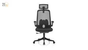 GAVIN OFFICE CHAIR WITH ADJUSTABLE HEADREST(MESH BACK AND FABRIC MOLDED FOAM SEAT WITH 1 CLASS LOCKING MECHANISM)