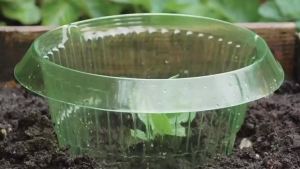 Reusable Vegetables Protection Covers Garden Plant Snail Slug Protection Collars Agricultural Save Water Guard for Flowers