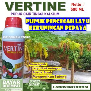 Pupuk Obat Layu Kekuningan Daun Pepaya California Paling Ampuh VERTINE KALSIUM 500ML Obat Semprot Tanaman Pepaya Daun Kuning yang Bagus dan Manjur - Pupuk Kalsium Tanaman Pepaya Berbuah Lebat Panen Melimpah Banyak