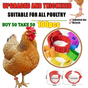 【BUY 50 TAKE 50】 100pcs Chicken FootRing Poultry Leg Band Ring AdjustableClip Band Duck Chicke Chicken leg ring Adjustable Leg band Poultry feet tag for gamefowl rooster duck goose Farm accessories