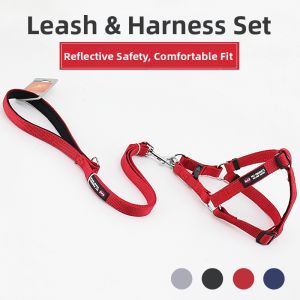 petlimit | Dog Leash Set Chest Harness