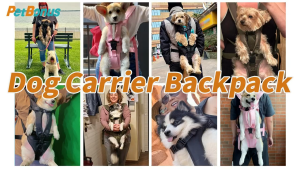 Teekland Dog Carrier for Motorcycle and Bicycle Convenient Adjustable Oxford Cloth Multi-purpose Water-Resistant Puppy Cats Backpack for Outdoors Travel Walking Dogs accessories