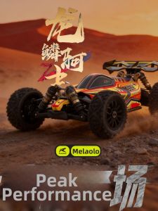 RLAARLO | Professional RC 4WD Race Car