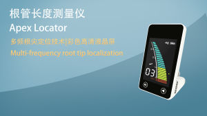 NICEDEN Dental Apex Locator Endodontic Root Canal Finder Large 3.9-inch screen  Touch screen