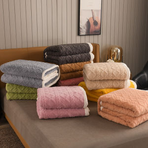 Warm Thick Plush Blanket