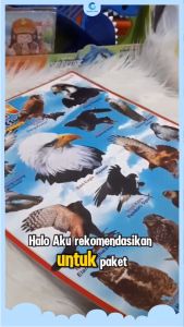 Paket Edukasi Anak Belajar Binatang: Poster Dinding Isi 6 Pcs