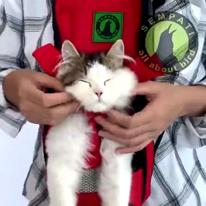 SEMPATI GROSIR Grosir Tas Kucing Gendog Depan Tas Kucing Anjing Depan Belakang Polos Sempati Isi 10 Pcs Tas Gendong Kucing Murah Tas Travel Ransel Bawa Hewan