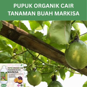 Pupuk Buah Markisa 500 ML /Pupuk Booster Markisa Cepat Berbuah Lebat/Pupuk Cair Markisa