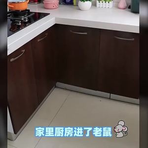 น้ำมันหอมระเหยพืชเวทมนตร์ไล่สัตว์ฟันแทะ ตัวแทนไล่หนู ยาต้านกลิ่น น้ำยาป้องกันสัตว์ฟันแทะในบ้านแบบครบวงจร