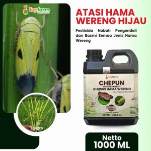 Insektisida Topfarm: Solusi Ampuh Melawan Wereng Hitam & Padi