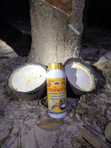 อาการเสริมพืชยางพันล้านสูตร 500 cc