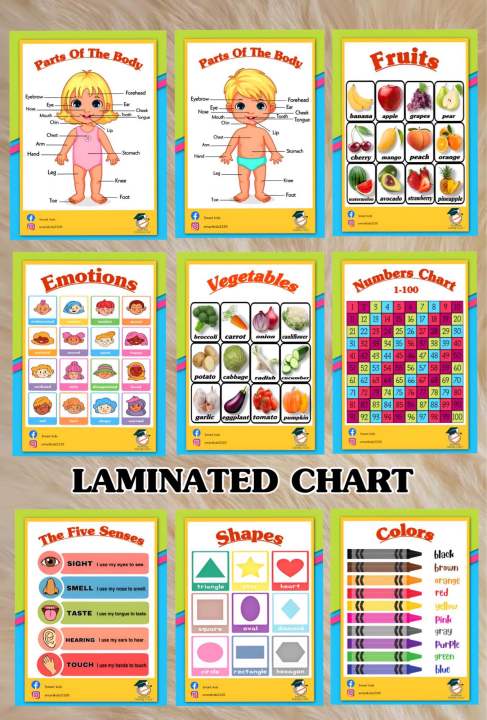 Laminated A4 Educational Wall Chart | Lazada PH