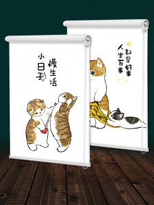 CHIYIJIA | Manual Roll-up Sunscreen Curtain