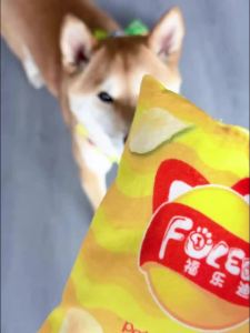 Gourmet Cartoon Style Polyester Plush Interactive Squeaky Pet Toys with Sound Chips for Dogs And Cats All Breeds