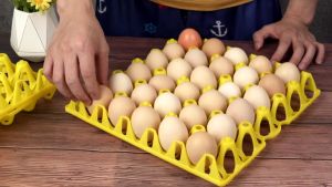 Plastic Egg Tray By 30 PCS / Egg Tray Can / Tray Can Hold / Egg Tray Storage Box / Storage Box Easy / Bekas Dulang Telur Plastik Egg Tray 塑料鸡蛋托盘