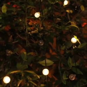 Lozzby Solar Garden Crystal Ball String Light: A Comprehensive Guide