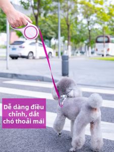 FENGCAO | Auto Retractable Dog Leash for Small to Medium Dogs Pet Accessories