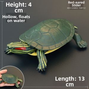 MENGSILE | Realistic Crawling Childrens Toy Model Turtles
