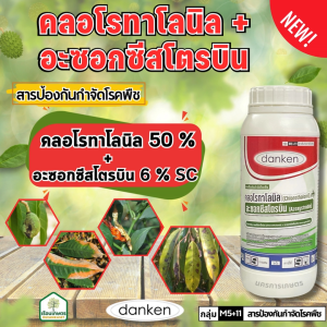 คลอโรทาโลนิล + อะซอกซีสโตรบิน สารป้องกันกำจัดโรคพืช ขนาด 1 ลิตร