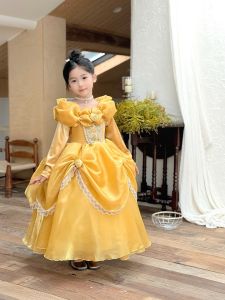Long Sleeve Girl Princess Dress