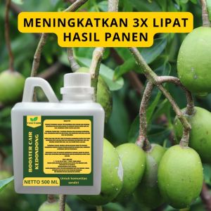Pupuk Buah Kedondong: Meningkatkan Kualitas dan Produksi